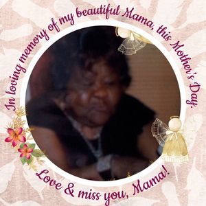 Meet your Posher, Iris